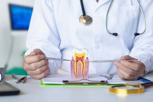 Best Broken or Cracked Tooth Emergency Dentist in Lewiston, CA